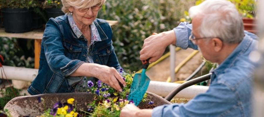 Adapting hobbies for seniors